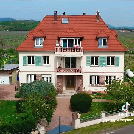 Gite Villa Turckheim 아파트 *